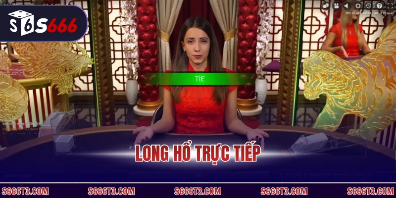 Long Hổ trực tiếp